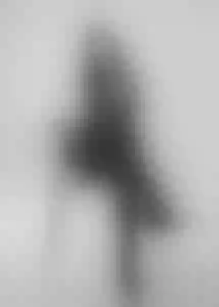Live sex webcam photo for VivianneStein #5545526