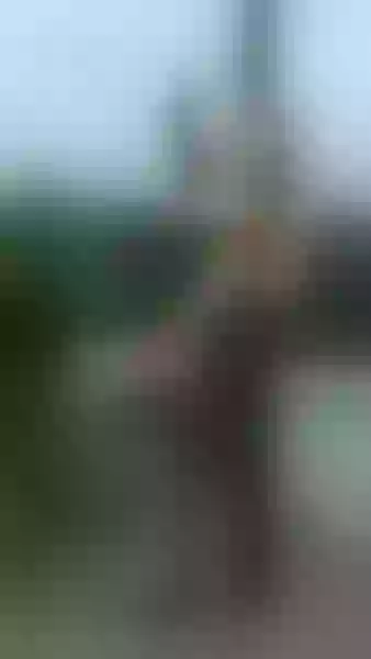 Live sex webcam photo for AvaReeves #7280169