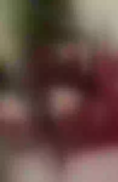 Live sex webcam photo for AvaReeves #7279929