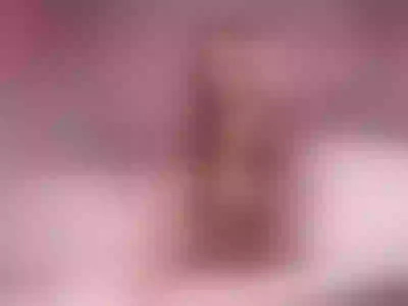 Live sex webcam photo for AlexaHeyes #2402783
