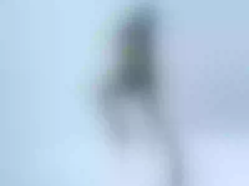 Live sex webcam photo for AlexaHeyes #4051744