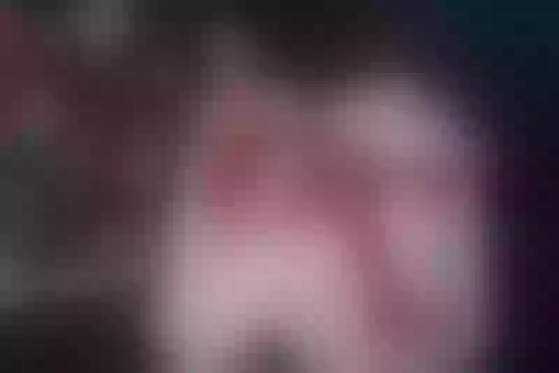 Live sex webcam photo for AriaSpicy #2840728