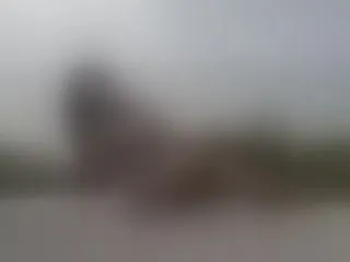 Live sex webcam photo for MoniMoon #6019666