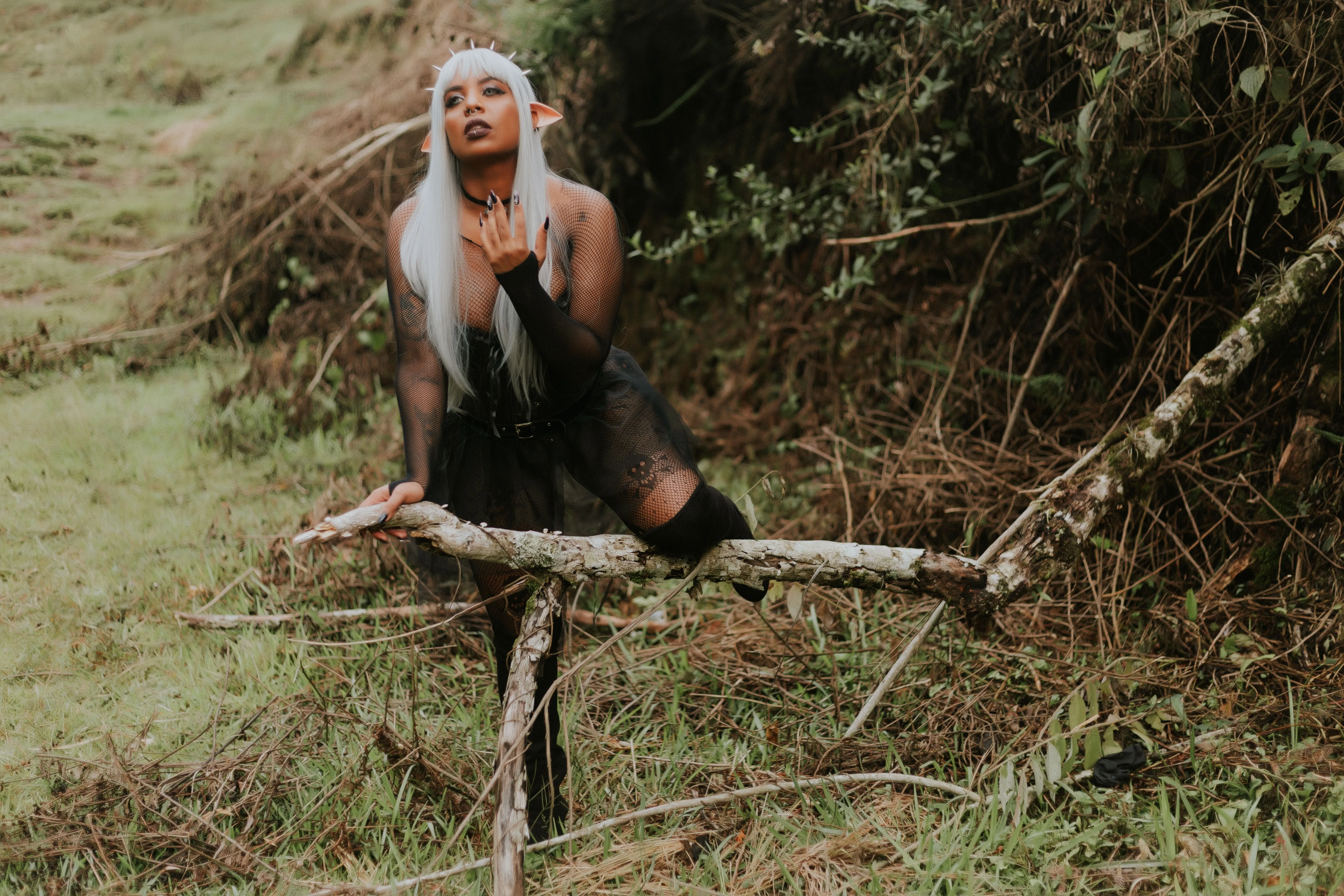 Live sex webcam photo for MadisonHealtfitt #7922085