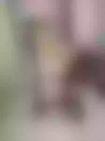 Live sex webcam photo for MandymayXX #2342812