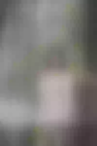 Live sex webcam photo for KymScarlet #1845865