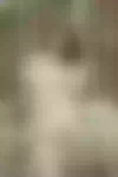 Live sex webcam photo for KymScarlet #1845859