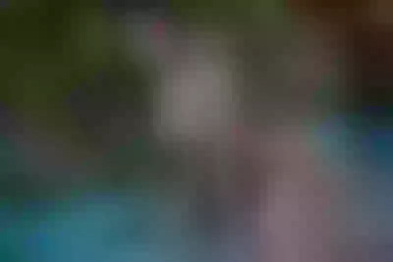 Live sex webcam photo for Harper_Lennon #1712404