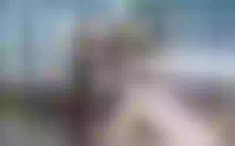 Live sex webcam photo for SassyClark #1840871