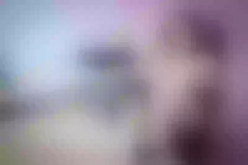Live sex webcam photo for MargaretTaylor #2352248