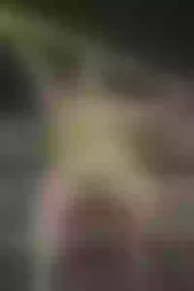 Live sex webcam photo for MargaretTaylor #2631799