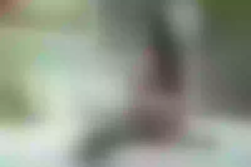 Live sex webcam photo for EllyaBlack #1907608