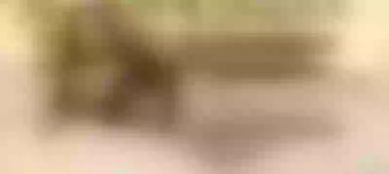 Live sex webcam photo for Sarah_potter #6145276