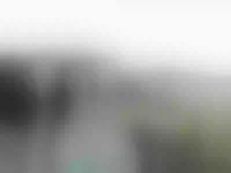 Live sex webcam photo for Elizabeth_Gilbert #7957941