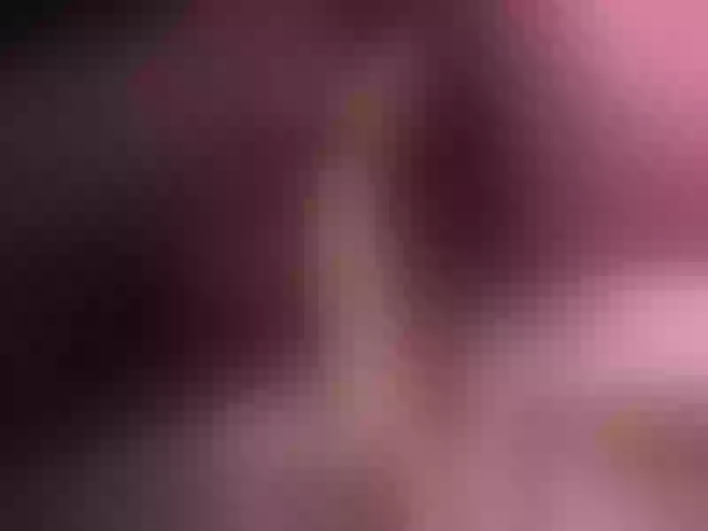 Live sex webcam photo for FrancesNatalie #2406928