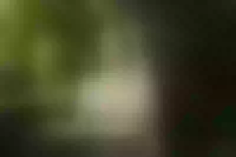 Live sex webcam photo for TiffaanyAdams #3763011