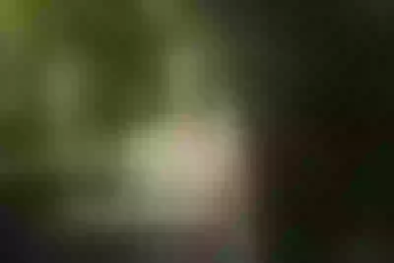 Live sex webcam photo for TiffaanyAdams #3763013