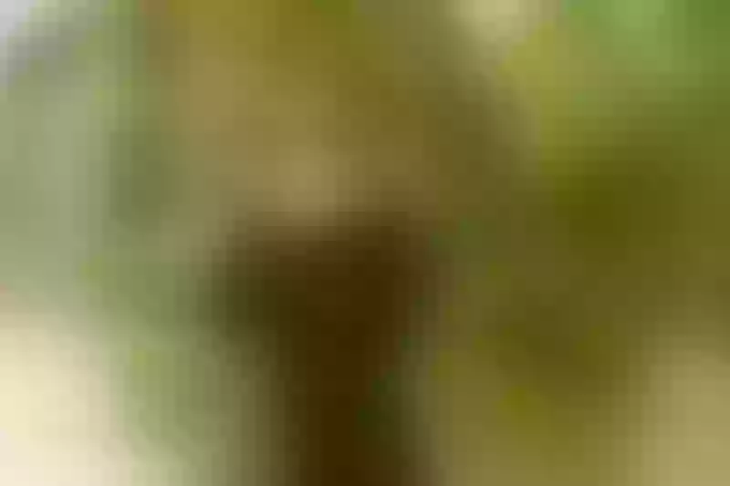 Live sex webcam photo for EvaBelt #3411391