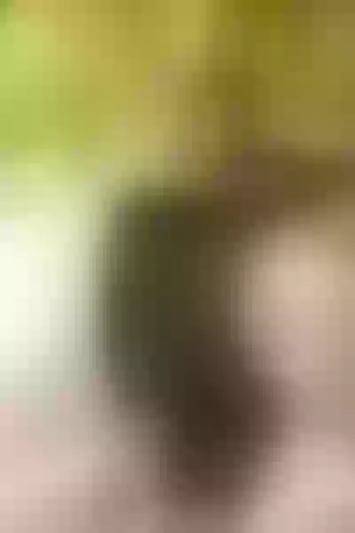 Live sex webcam photo for EvaBelt #3411393