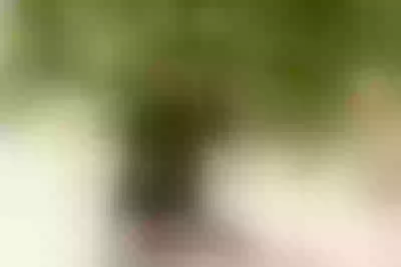 Live sex webcam photo for EvaBelt #3411407