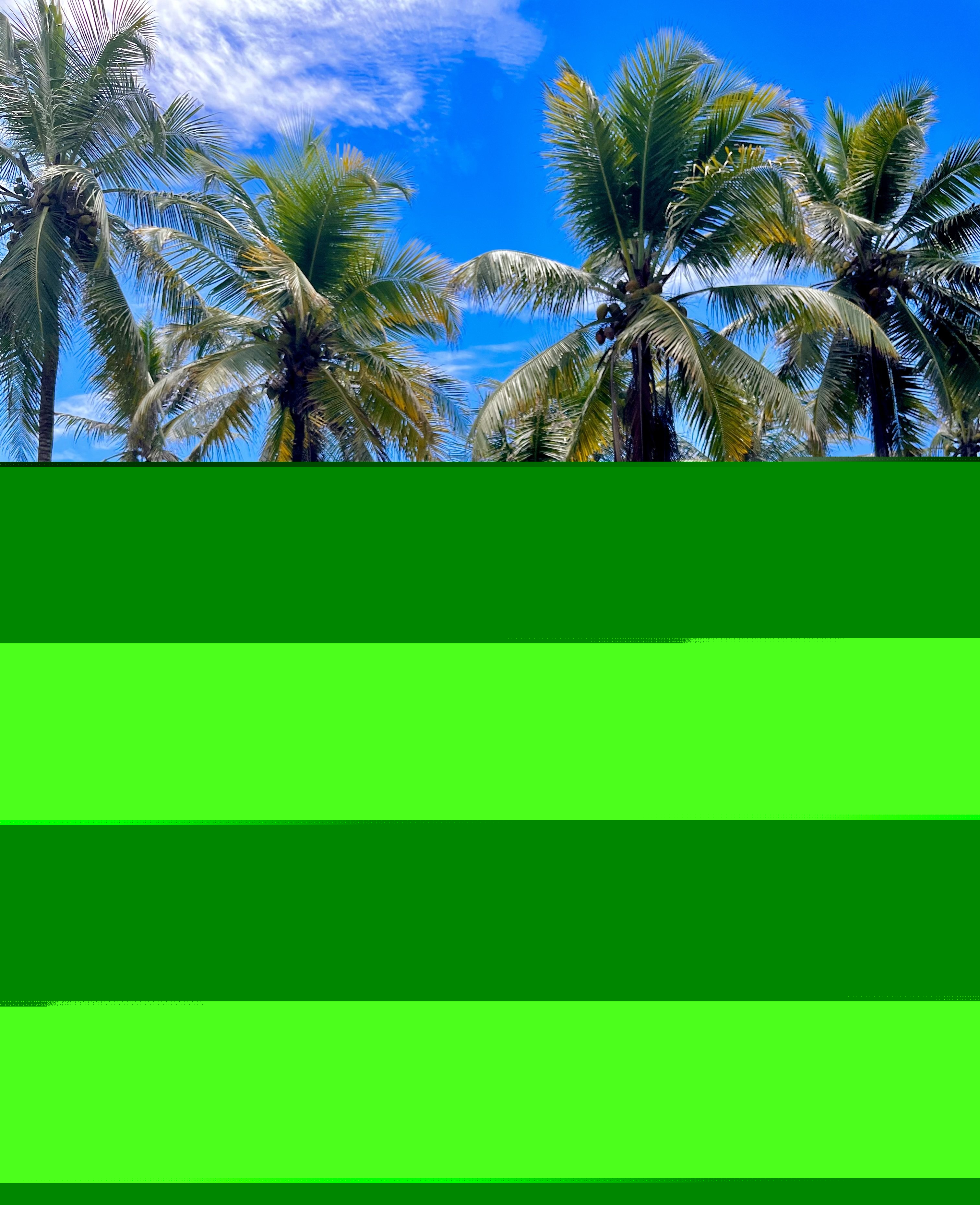 Live sex webcam photo for Camille_Roux #7226973