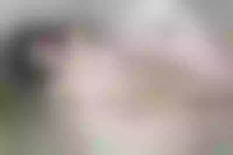 Live sex webcam photo for JuliaSsimpson #5376485