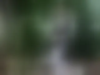 Live sex webcam photo for EvelyneFlirtyMilf #8379881