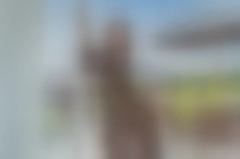 Live sex webcam photo for AnneGates #2351820