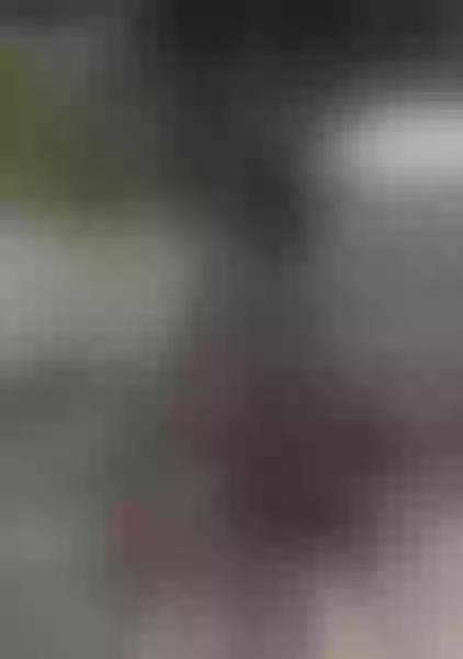 Live sex webcam photo for AnneGates #2483634