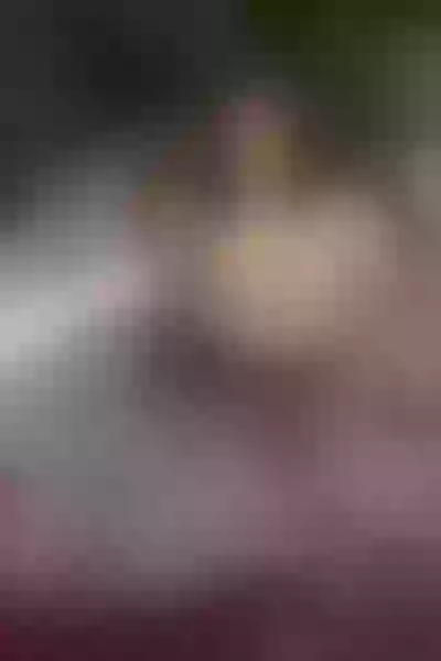 Live sex webcam photo for KorinaAngeel #4207128