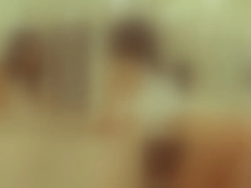 Live sex webcam photo for GabbyScott #4032696