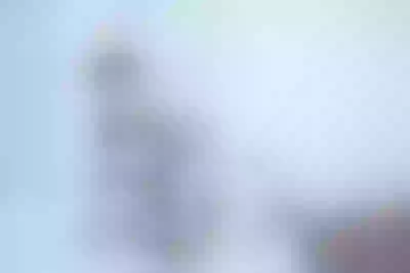 Live sex webcam photo for Ravenna_sophia #2158078