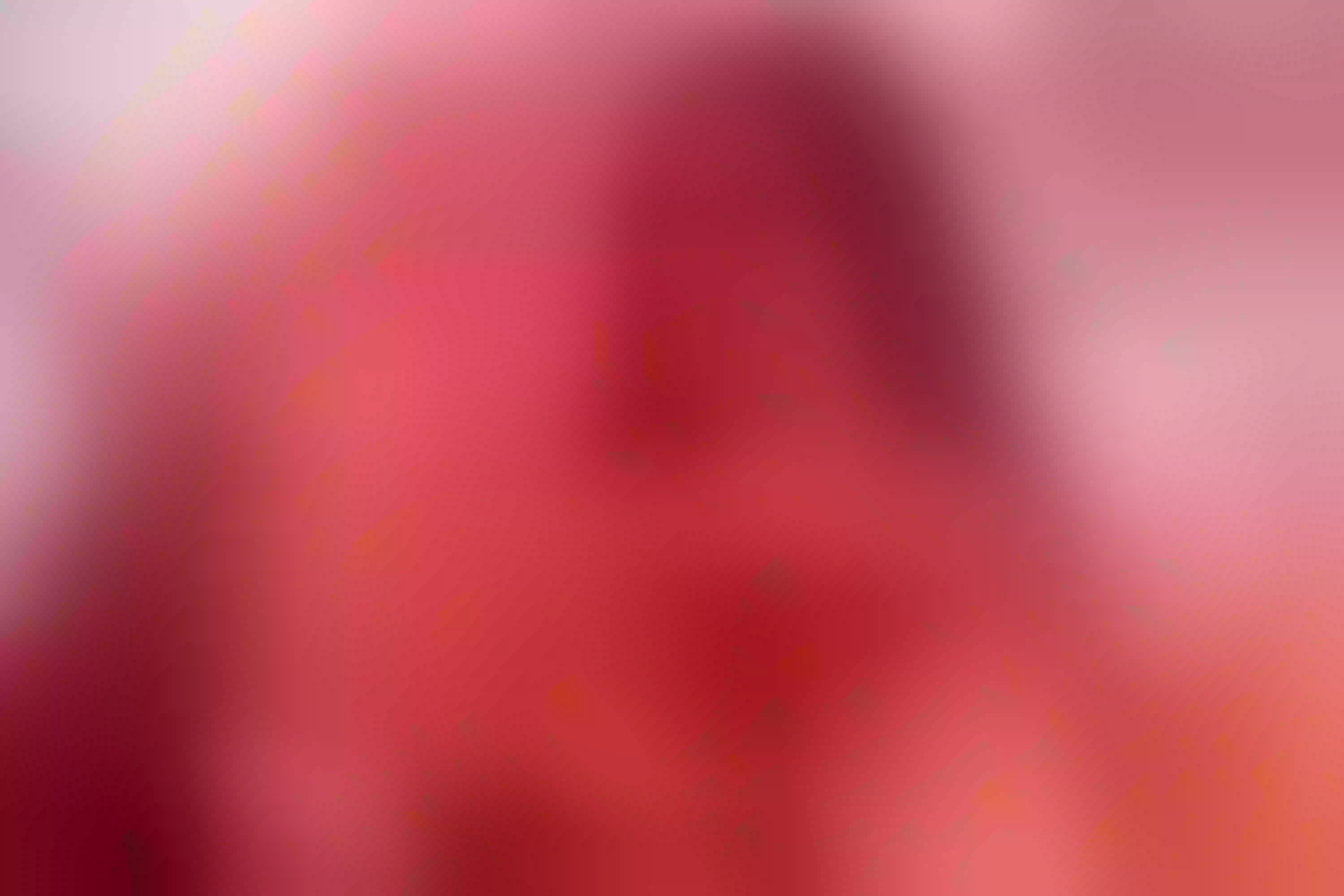 Live sex webcam photo for EmiliaSscoty #7156763