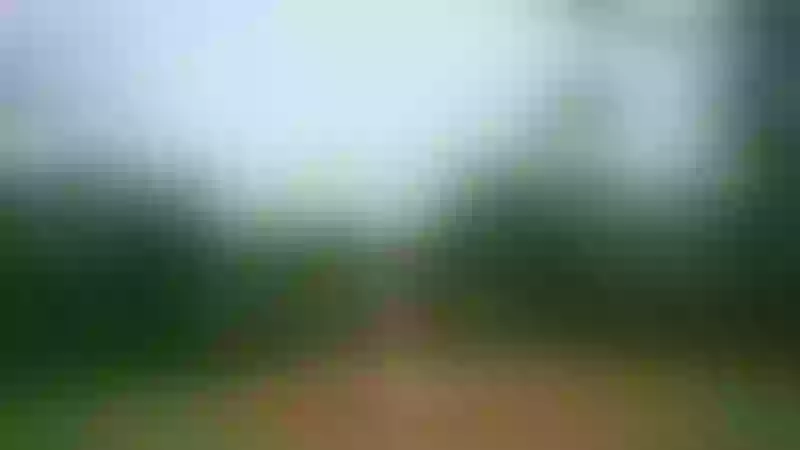 Live sex webcam photo for DakotaHers #6021229