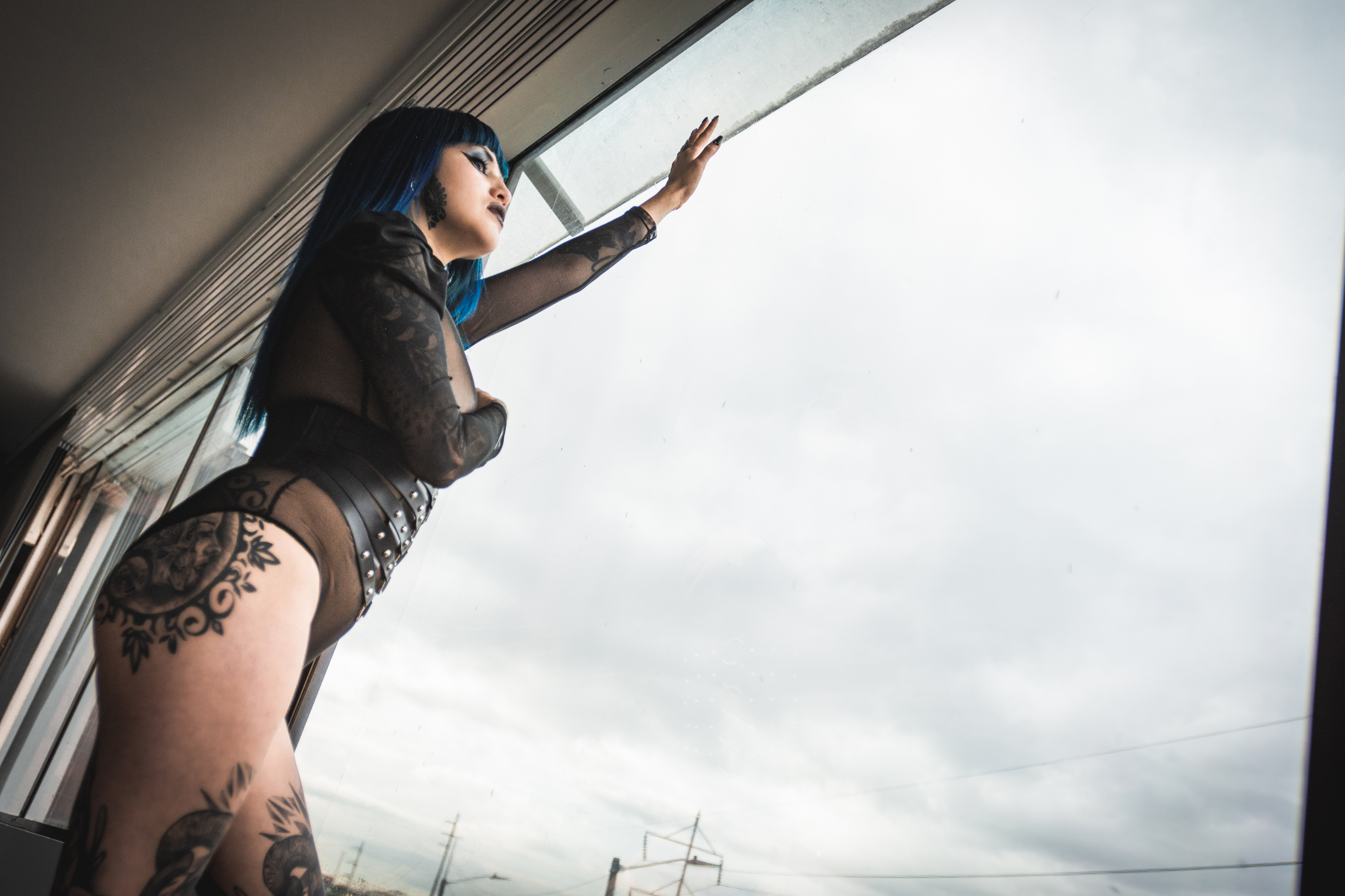 Live sex webcam photo for LaurenPadockk #7384778