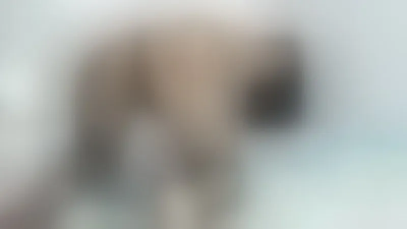Live sex webcam photo for HotxKarina #2923281