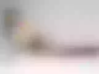 Live sex webcam photo for Nia_Minogue #6277688