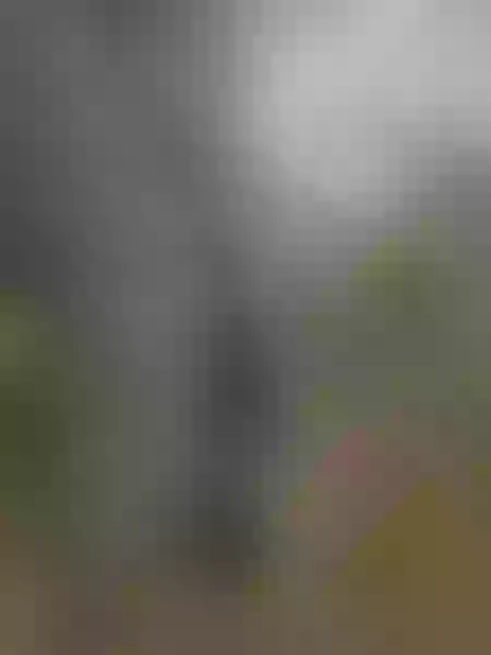 Live sex webcam photo for cutelauracos #3123443