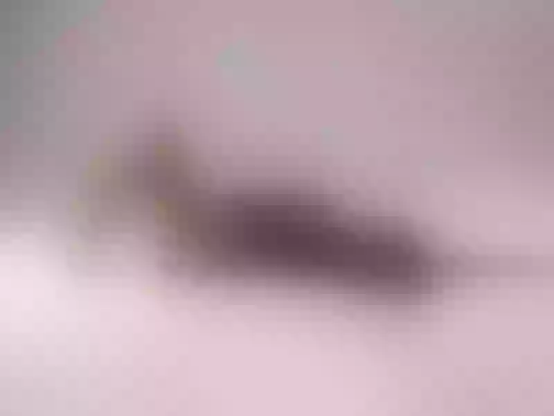 Live sex webcam photo for MellyOhana #5913454