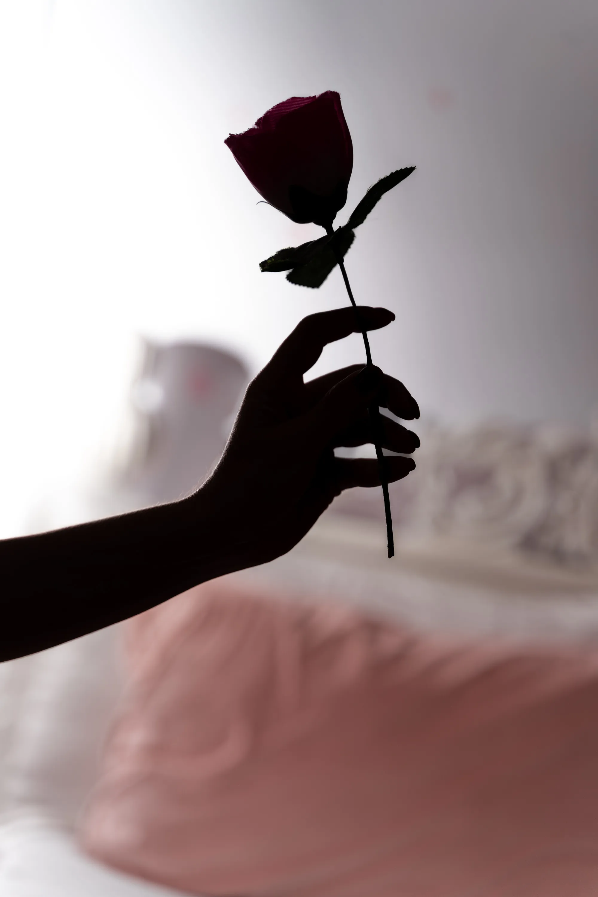 Live sex webcam photo for MaisyWarnerr #7842982