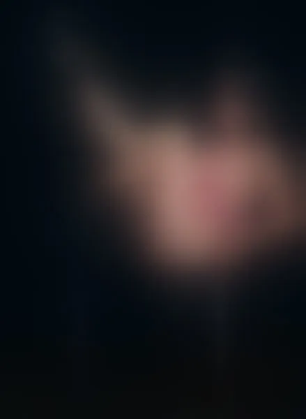 Live sex webcam photo for LizzyMiler #2503657