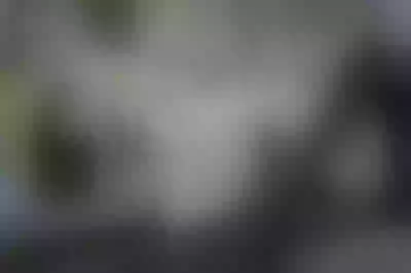 Live sex webcam photo for Louane_Bour #2113562