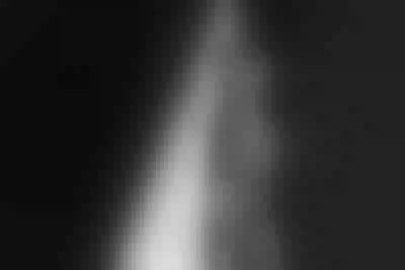 Live sex webcam photo for PalomaMcguire #4024776