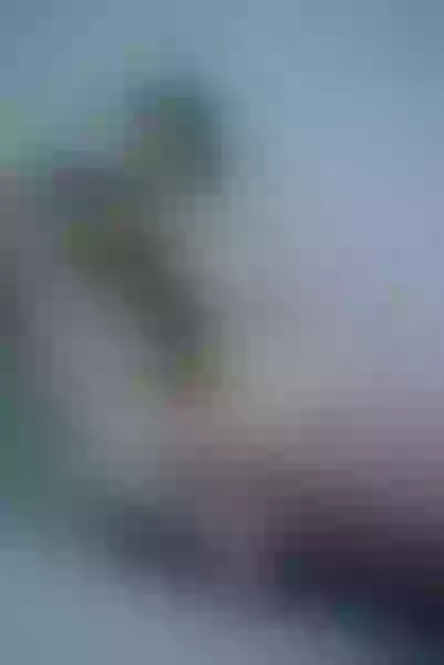 Live sex webcam photo for EmiliaDavis #3220449