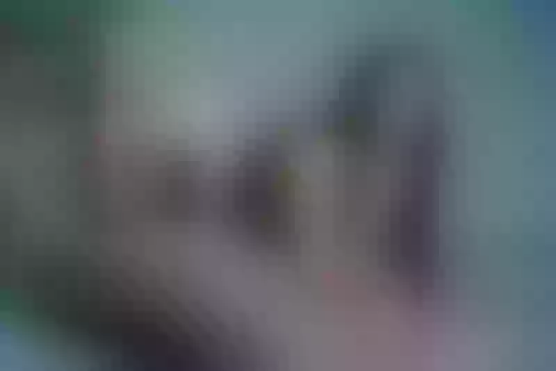 Live sex webcam photo for EmiliaDavis #3220450