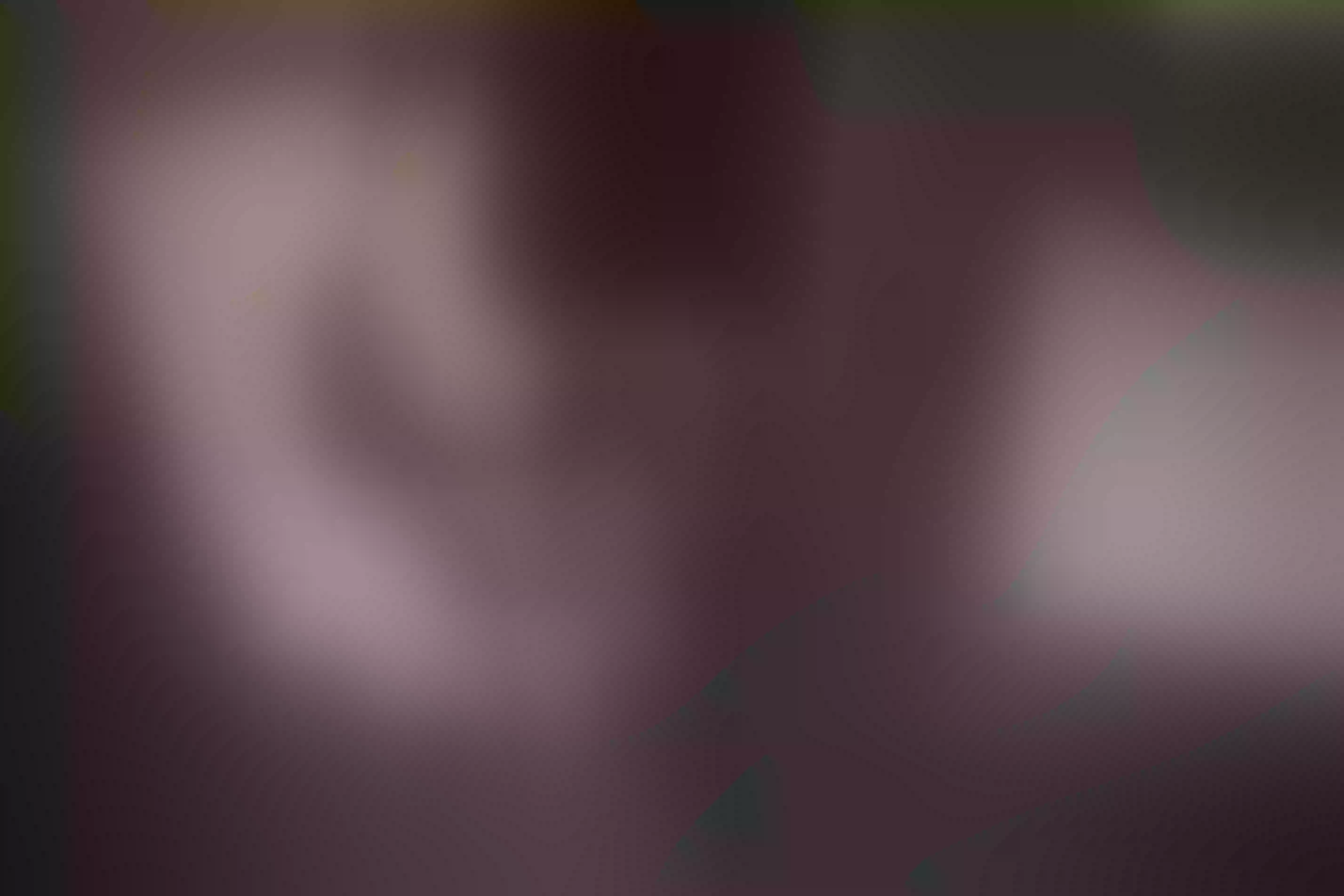 Live sex webcam photo for NathallieScire #8155602