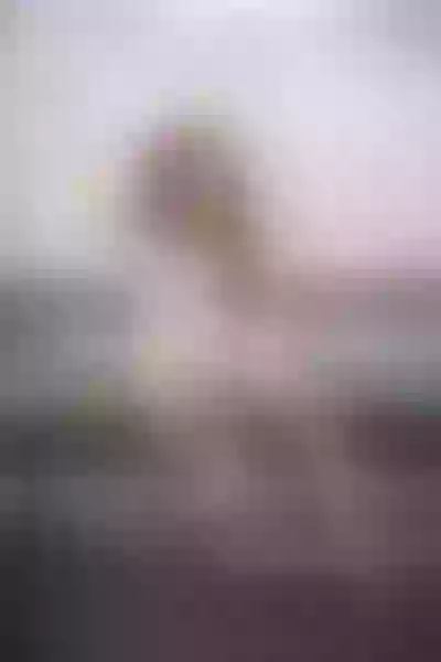 Live sex webcam photo for NaomyFox #3582884