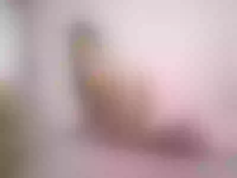 Live sex webcam photo for Emmily_Blake #3126268