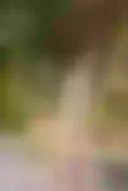 Live sex webcam photo for MillyBonnie #7956762