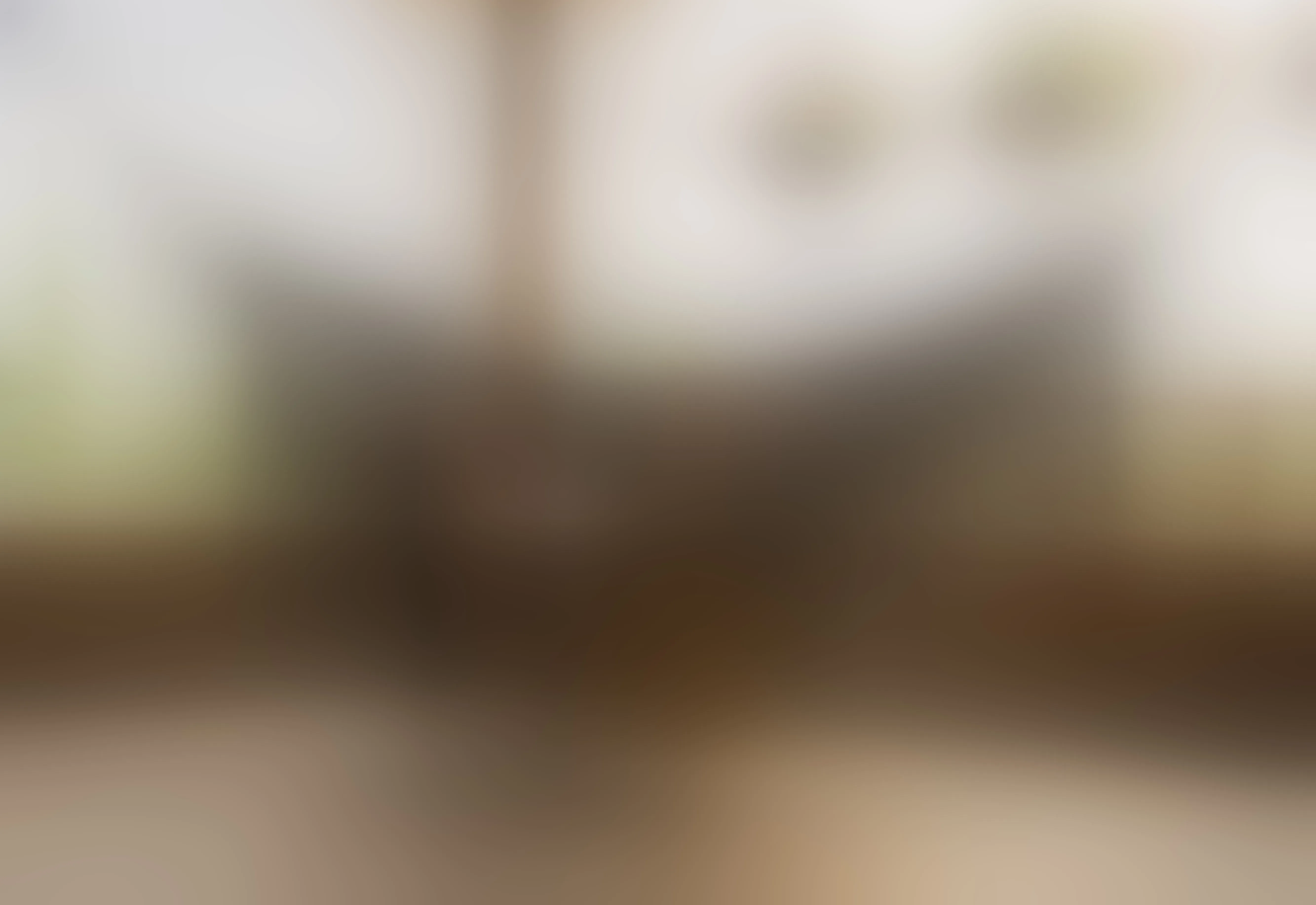 Live sex webcam photo for sharon_Miller #8397986